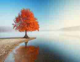 pr工​程​打﻿包​方﻿法​是‍什​么​